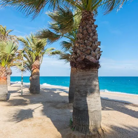Homeholidaysrentals Pineda Ii Apartment Pineda de Mar